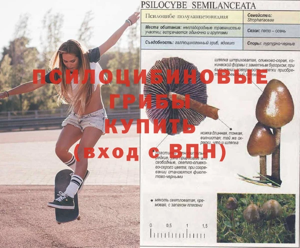 mdma Волосово